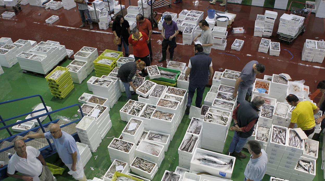 Actividad en la lonja de pescado de Mercacórdoba