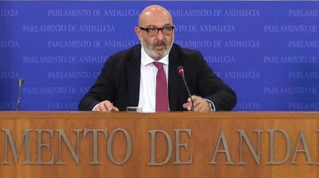 El portavoz de Vox en el Parlamento, Alejandro Hernández