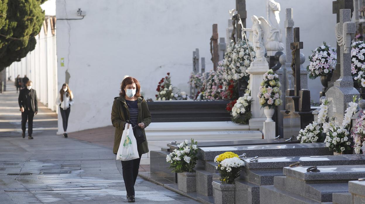 Imagen del cementerio de San Rafael de Córdoba