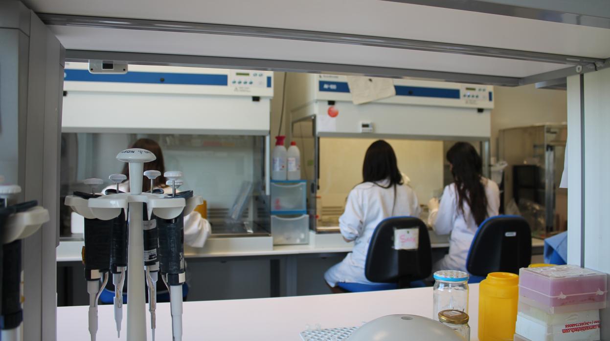 Laboratorio de Canvax en Rabanales 21