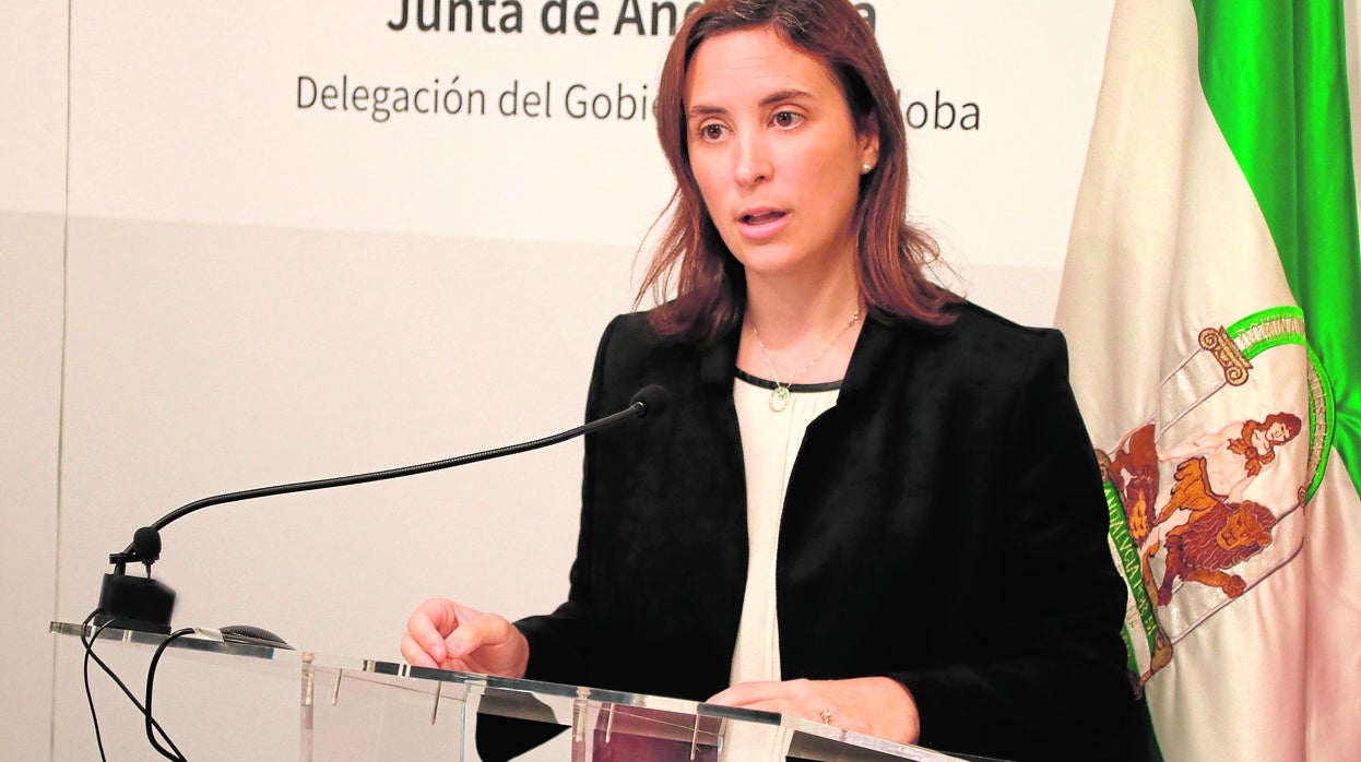 La delegada de Fomento de la Junta en Córdoba, Cristina Casanueva, este miércoles en rueda de prensa