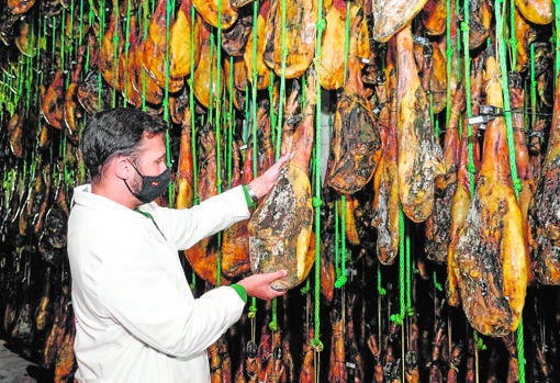 Instalaciones de Agroibérica de Pozoblanco