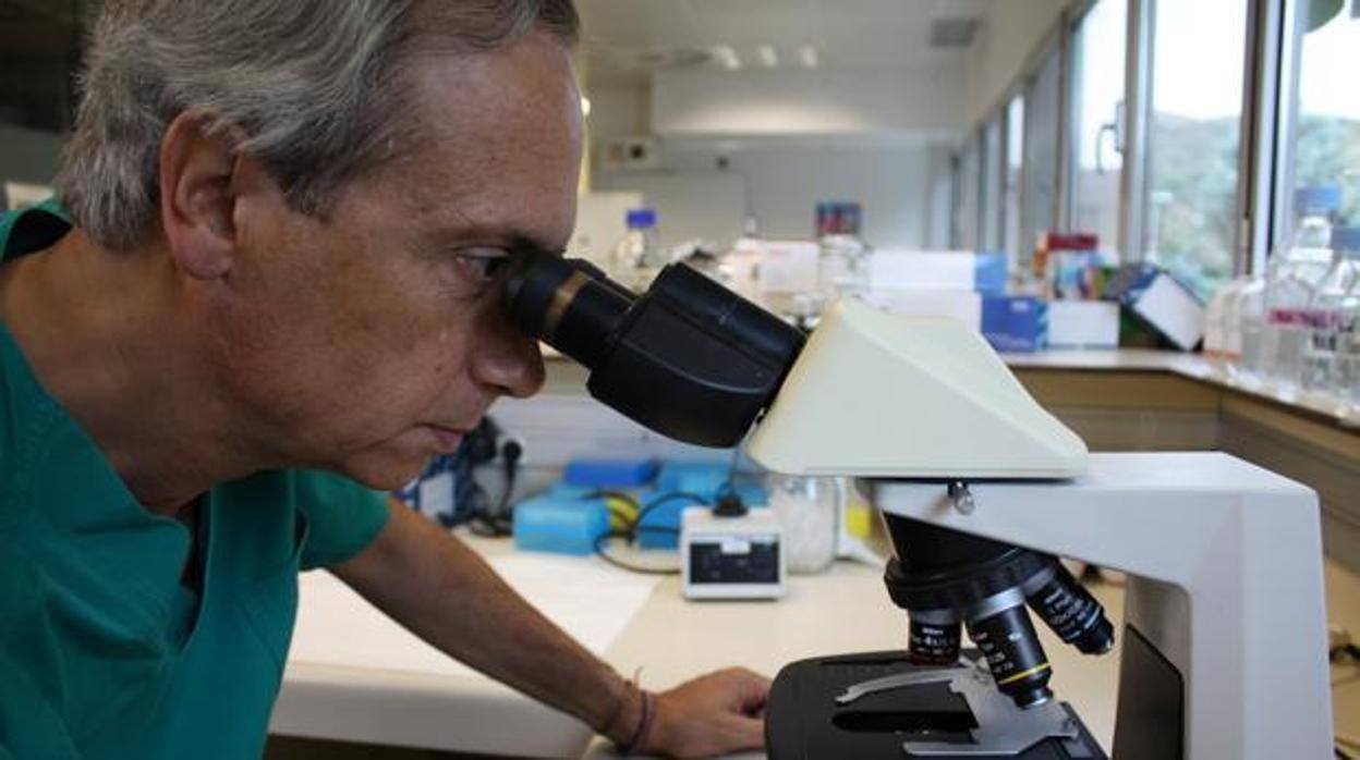 Un sanitario trabajando en el laboratorio