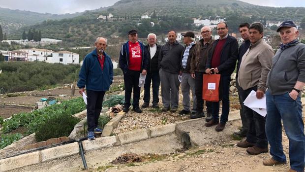 El boom de los huertos sociales obliga a los ayuntamientos de Córdoba a regularlos