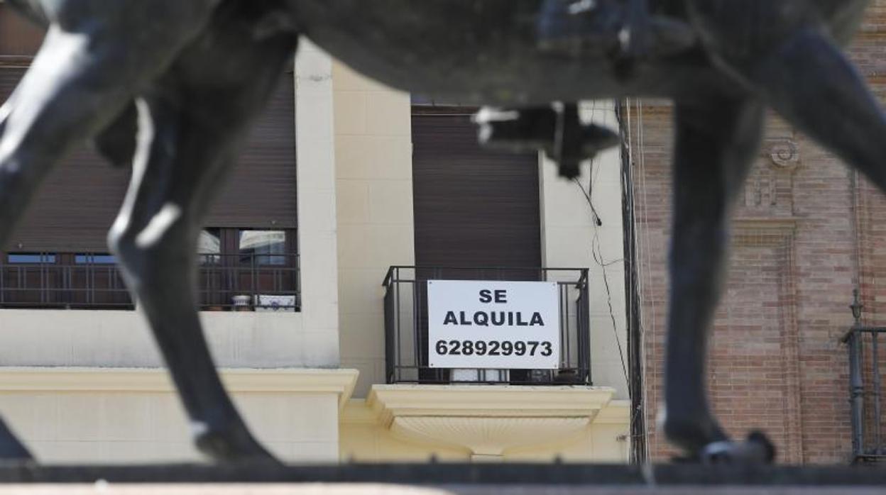 Un cartel de «se alquila» en el Centro de Córdoba