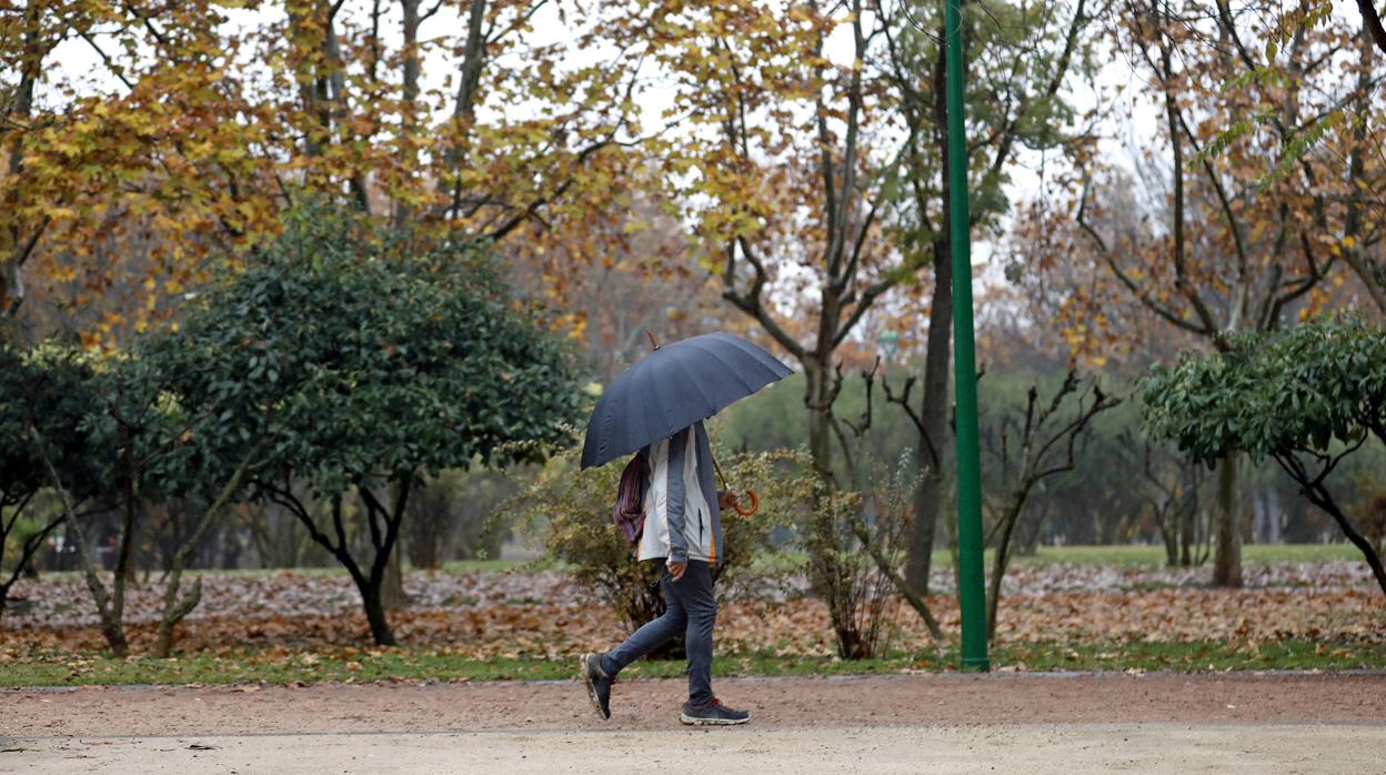 Una persona pasea bajo un paraguas por el Parque Cruz Conde de Córdoba