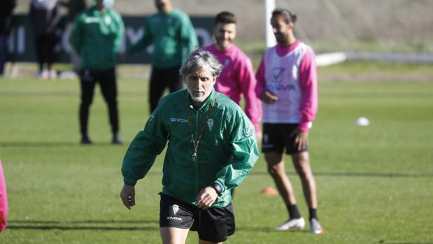 Moutinho, Oyarzun, Willy y De las Cuevas, ausentes en el entrenamiento del Córdoba CF