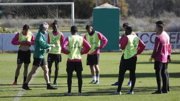 El Córdoba CF recibe a El Ejido con la vista puesta en terminar el año en zona de promoción