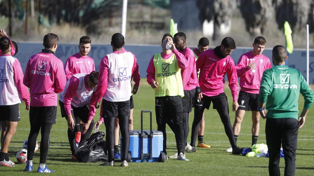 Los jugadores del Córdoba CF beben agua durante un entrenamiento en la Ciudad Deportiva