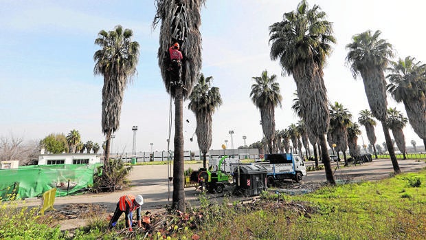 Paso decisivo hacia una posible solución en la Ciudad Deportiva del Córdoba CF