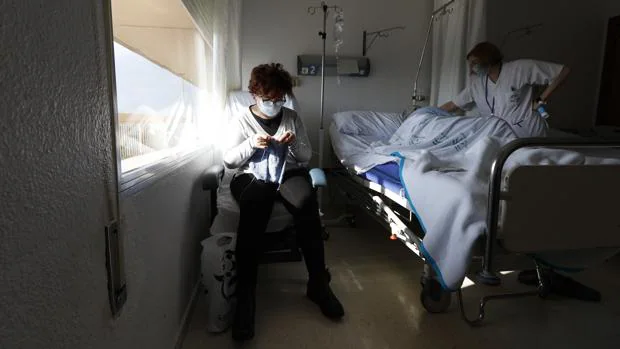 Cuidados paliativos en Córdoba, de las palabras que angustian a las que  consuelan al final de la vida