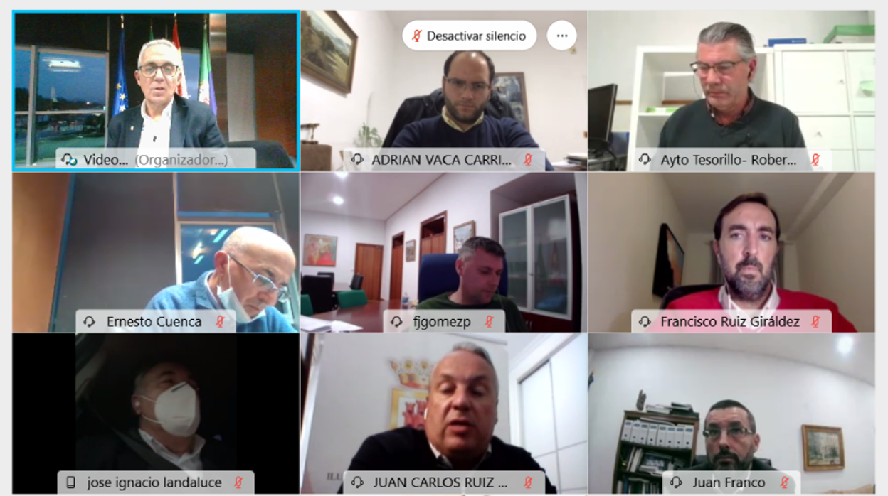 Captura de pantalla del Consejo de Alcaldes celebrado este lunes de manera telemática