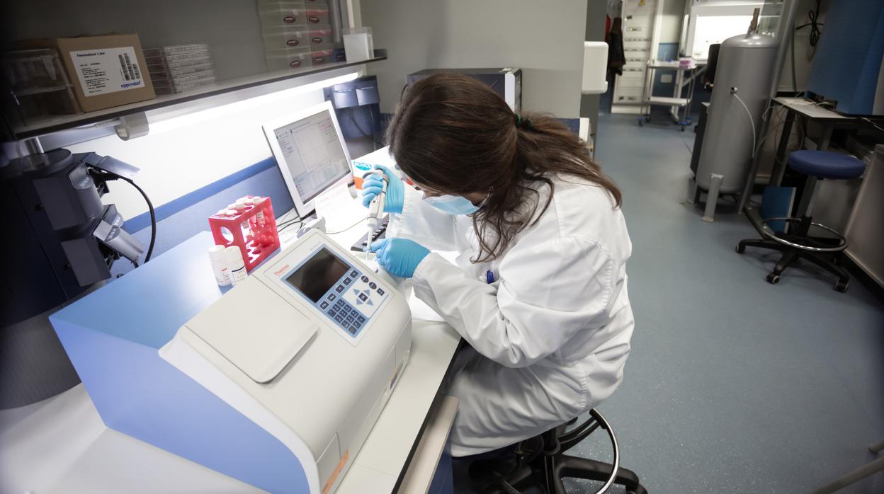 Una investigadora en el Instituto de Biomedicina de Sevilla