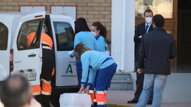 Salud registra el primer contagio de coronavirus dentro de Andalucía por la cepa británica