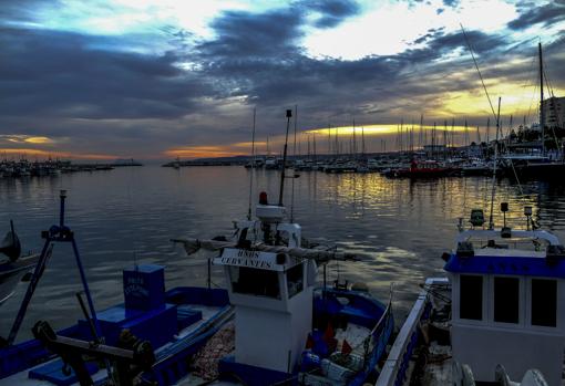 El puerto deportivo y el pesquero conviven en Estepona