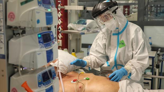 Andalucía suma solo dos muertos por coronavirus, la cifra más baja desde septiembre