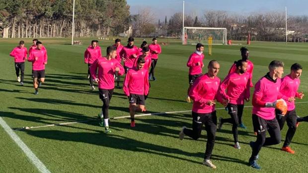 El Córdoba CF regresa a los entrenamientos con la única ausencia de Javi Flores