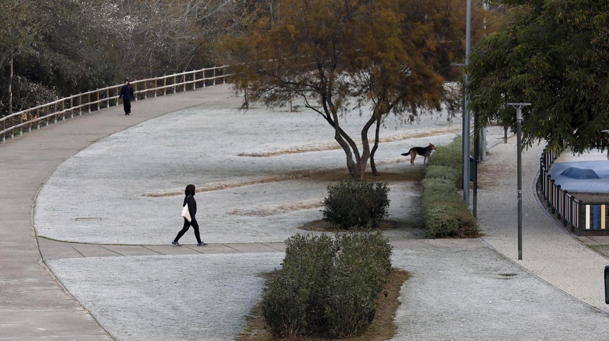 Parque de Miraflores junto al río Guadalquivir con los jardines helados por las bajas temperaturas