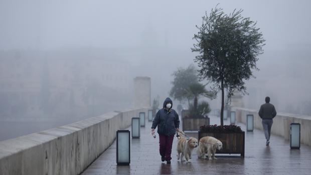 Aviso amarillo por fuertes lluvias durante este jueves