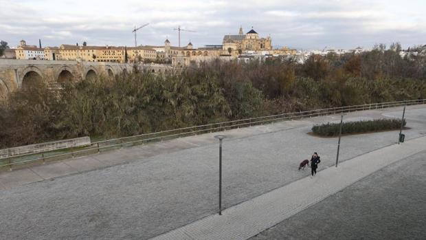 Borrasca Filomena | Las mínimas este domingo serán de un grado y las máximas no superan los 11 grados