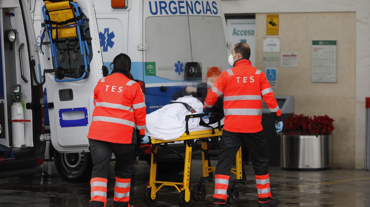 Profesionales sanitarios realizando un ingreso en las Urgencias del Hospital Reina Sofía de Córdoba