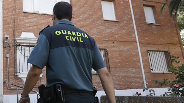 Cae en Granada el líder de una red de tráfico de cocaína de Bélgica