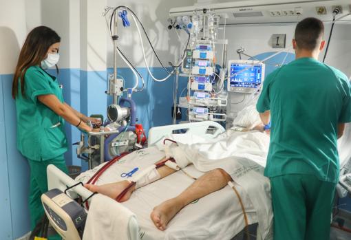 Sanitarios con un paciente Covid en el Hospital Reina Sofía de Córdoba