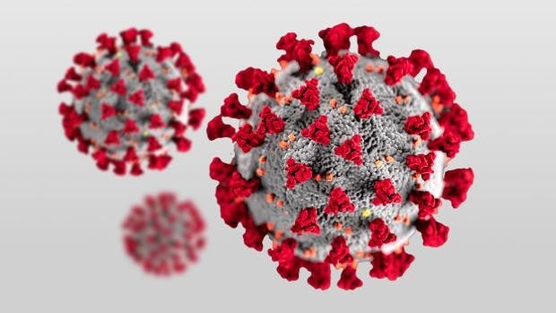 Recibe cada día la última hora sobre el coronavirus en Andalucía