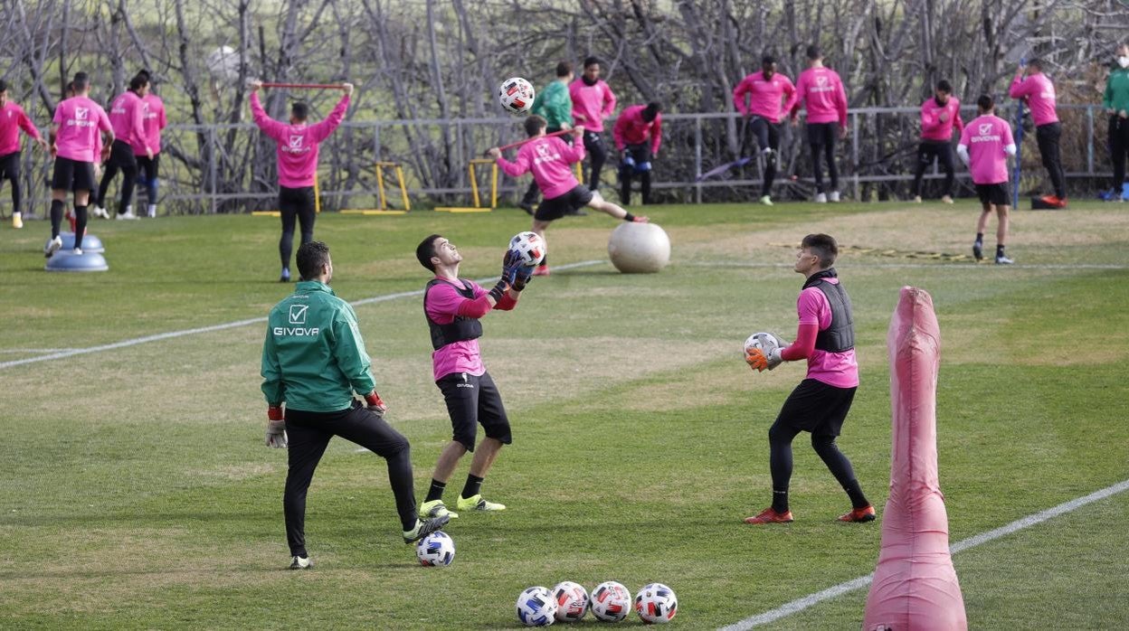 La plantilla del Córdoba CF, en un entrenamiento en la Ciudad Deportiva