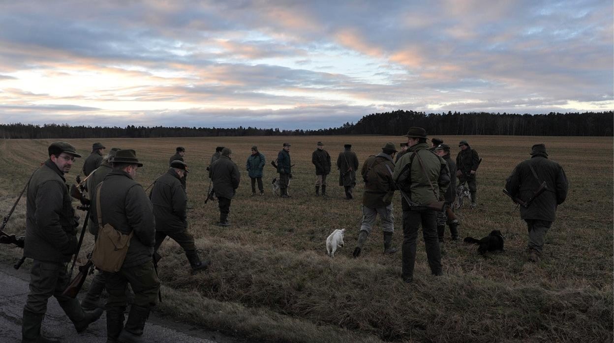 Un grupo de cazadores se dirige a una batida de jabalíes