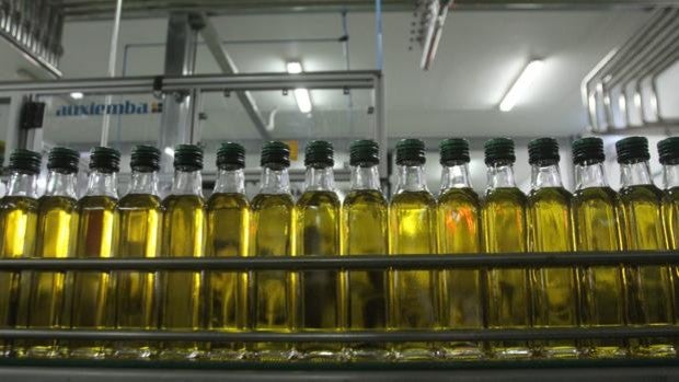 Knolive Oils exporta ya el 85% de su aceite virgen extra desde Priego de Córdoba a todo el mundo