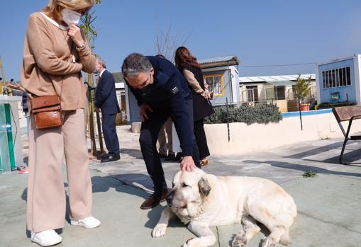 Bendodo, este viernes, durante la visita a la Sociedad Protectora de Animales y Plantas de Málaga