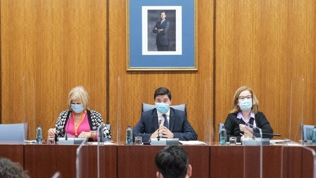 Teresa Florido, ofendida por su citación en la comisión de investigación, niega cualquier vínculo con la Faffe