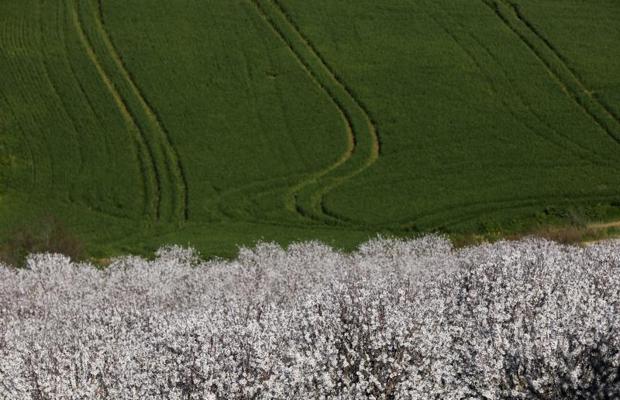 Miércoles de sol y temperatura al alza