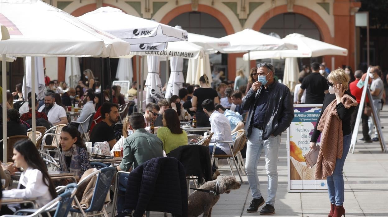 Terrazas en la plaza de la Corredera de Córdoba este pasa sábado 20 de febrero