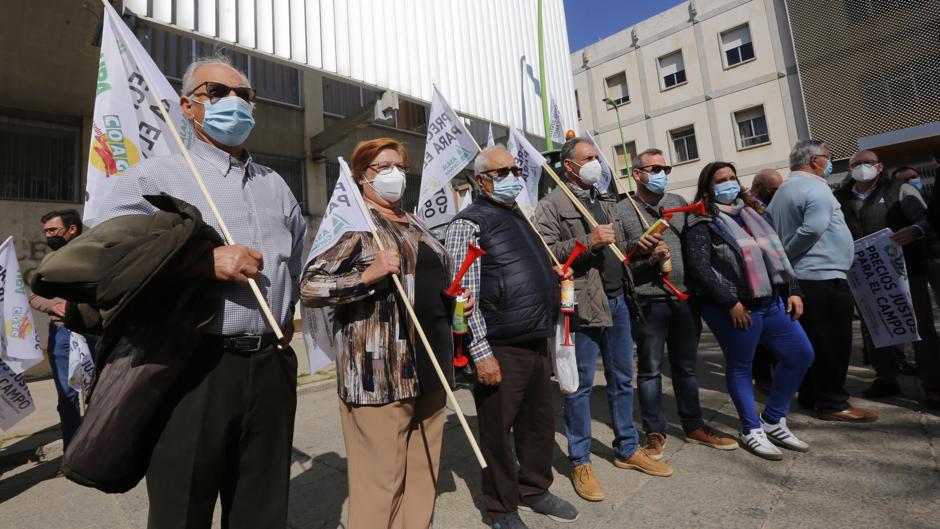 El campo de Córdoba «pone pie en pared» ante los cambios en la PAC del Gobierno, con pérdida de ayudas