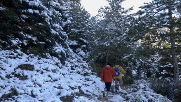 La Sierra de las Nieves: un Parque Nacional contra la despoblación