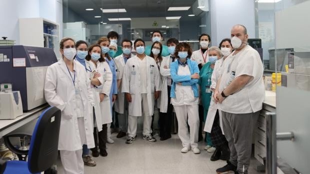 El Reina Sofía de Córdoba mejora el análisis de compatibilidad de donantes y receptores de médula