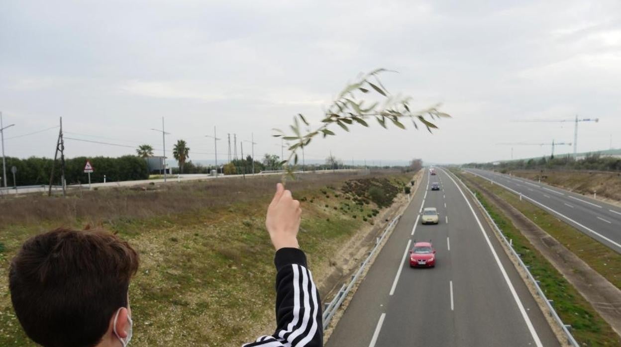 Vehiculos se dirigen desde Jaén hacia Despeñaperros para participar en la protesta