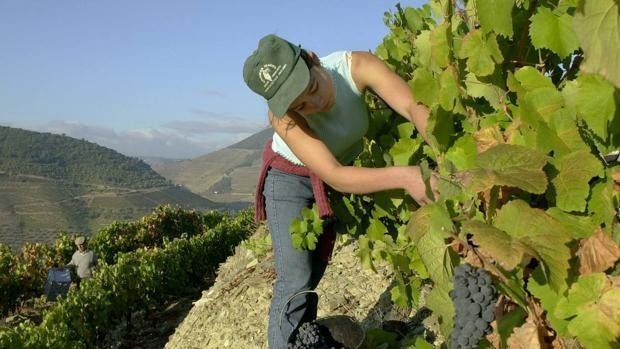 8-M | Los techos de cristal son más bajos en los pueblos, donde el paro femenino llega a ser del 65%