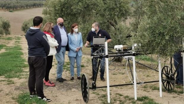 Leona ibera | Cultura ya investiga en los terrenos en que apareció la escultura de La Rambla