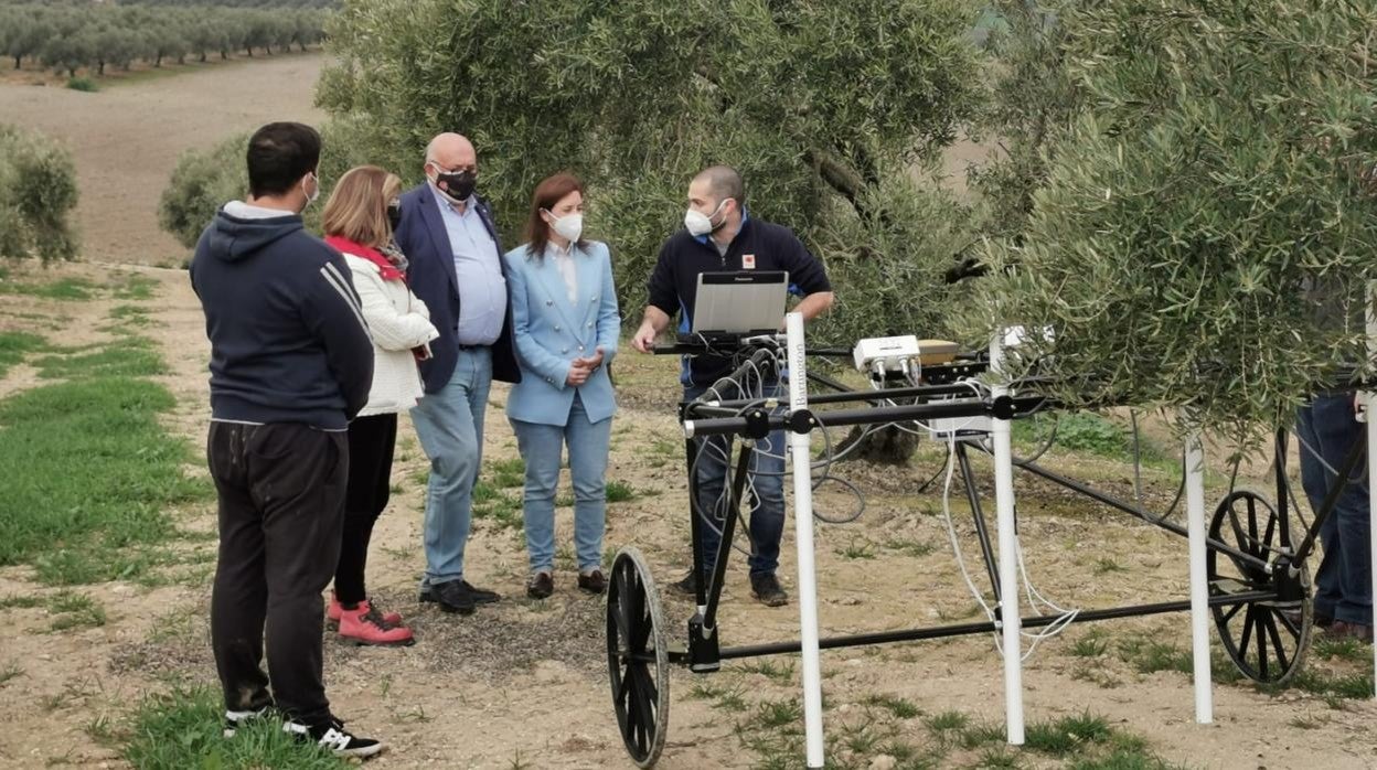 La delegada de Cultura, en el olivar de La Rambla en que apareció la escultura