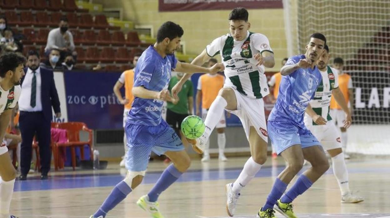 Ricardo Mayor, jugador del Córdoba Patrimonio ante Peñíscola