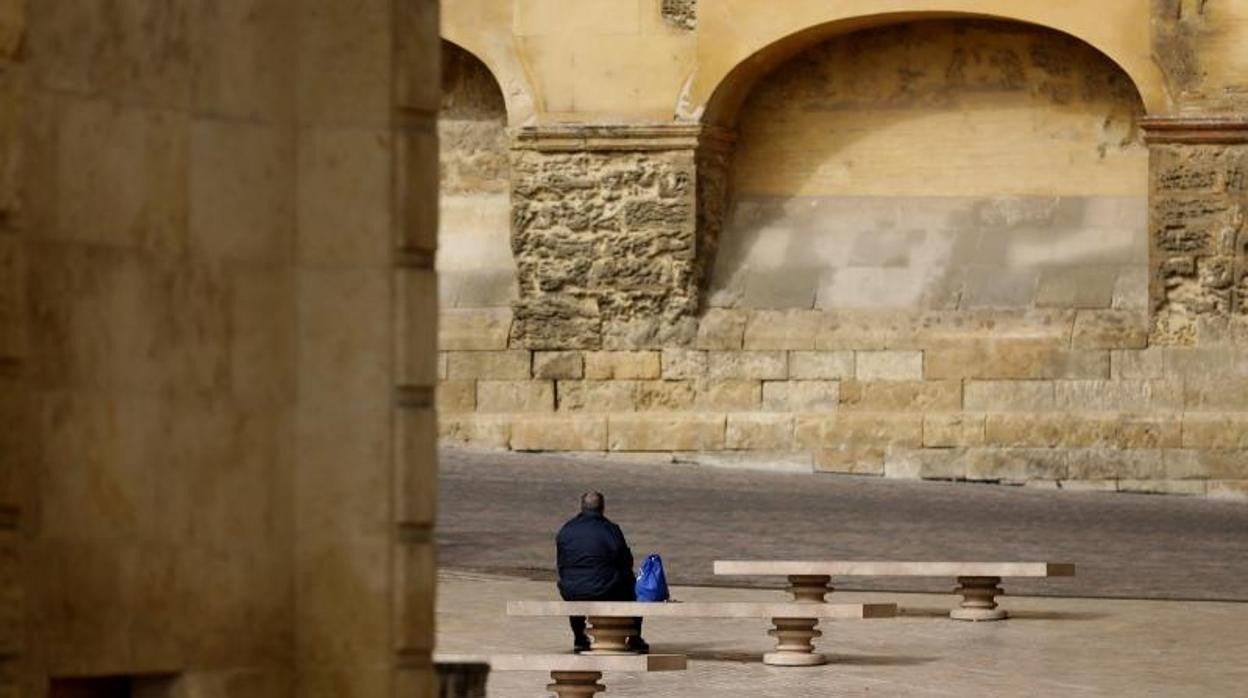 Entorno de la Ribera en Córdoba