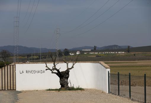 Finca de las instalaciones de La Rinconada