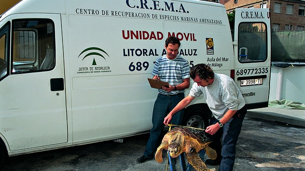 El Aula del Mar, un centro de investigación pionero en Málaga en peligro por la pandemia