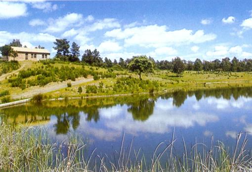 Montes comunales de Adamuz