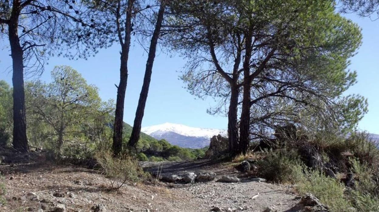 Diez espectaculares senderos naturales para recorrer en la provincia de Granada