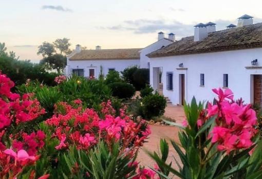 Imagen de las casas 'Alisné' en Almodóvar del Río