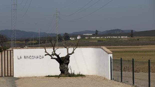 Base Logística | El Gobierno revela en el Senado que  Córdoba aportaba la mejor financiación